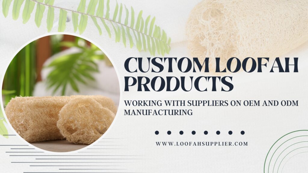 Custom Loofah OEM ODM Supplier Guide 2026 Loofahsupplier