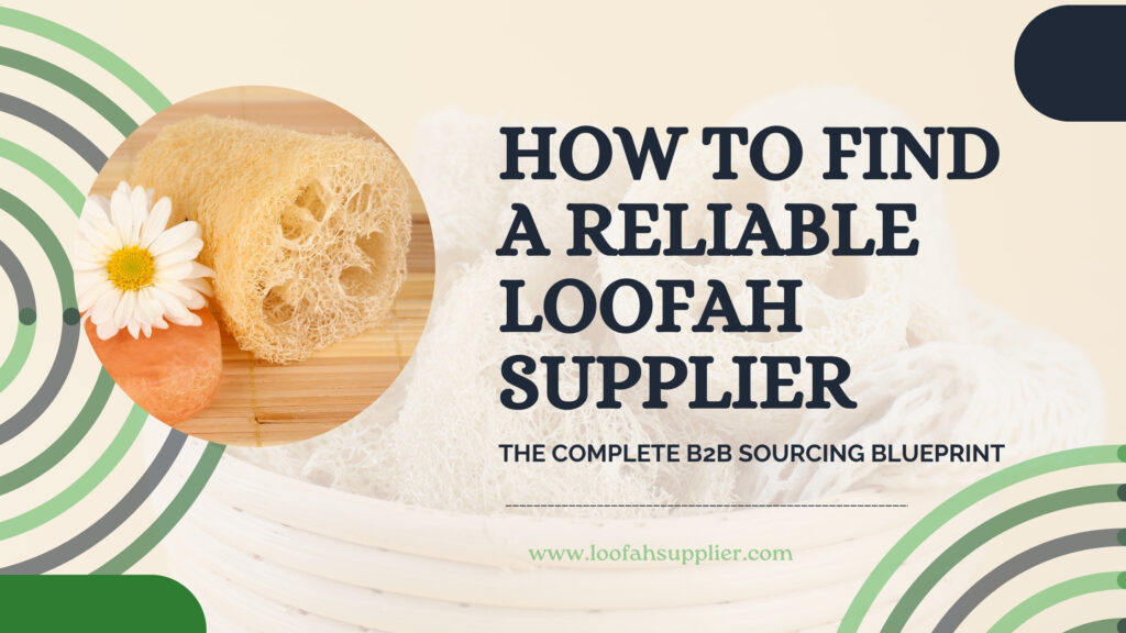 Find Reliable Loofah Supplier 2026 Sourcing Guide Loofahsupplier