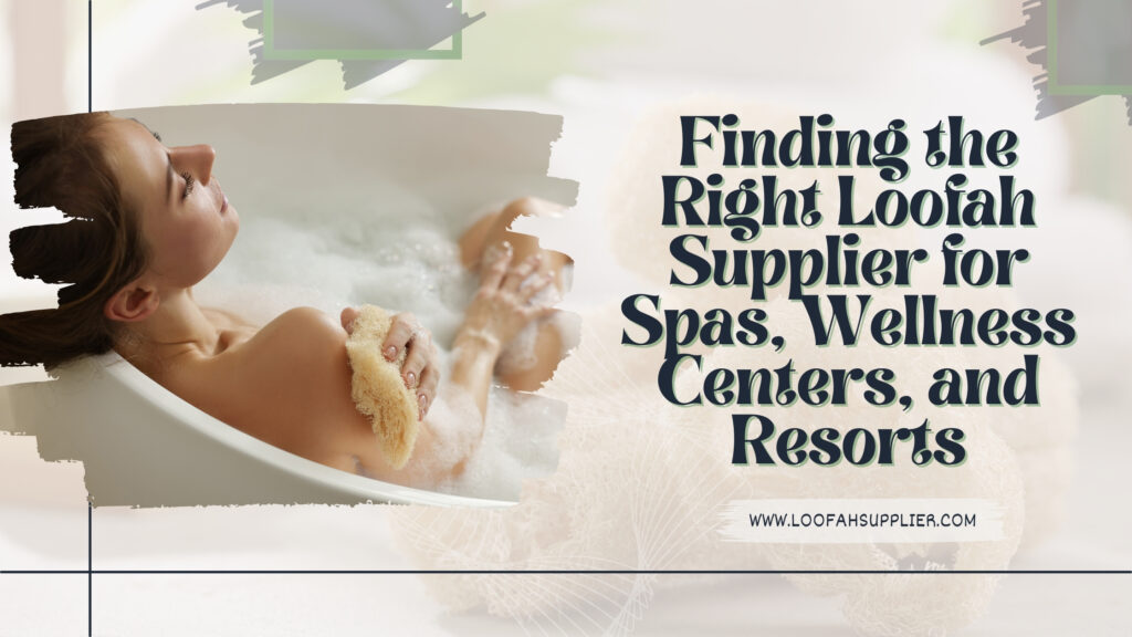 Loofah Supplier Spa Wellness Center 2026 Guide Loofahsupplier