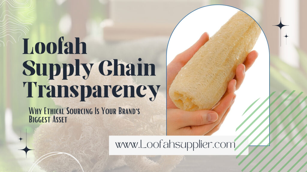 Loofah Supply Chain Transparency Ethical Guide 2026 Loofahsupplier